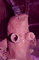 masquerade_head.jpg