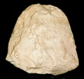 dscn3095.jpg