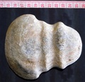 dscn3522.jpg