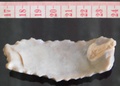 dscn3532.jpg