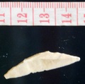 dscn3543.jpg