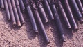 whistle_set2.jpg