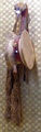 dscf7908.jpg