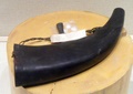dscf7955.jpg