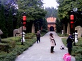 dscf8428.jpg
