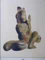 dscf8442.jpg