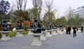 dscf8484.jpg