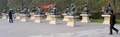 dscf8485.jpg