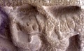 dscf1517.jpg