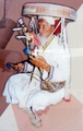 dscf1464.jpg