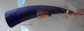 dscf1479.jpg