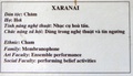 dscf9374.jpg