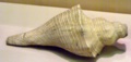 dscf9879.jpg
