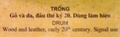 dscf9881.jpg