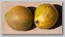 pict0040.jpg