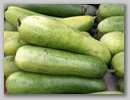 pict0048.jpg