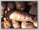 pict0059.jpg