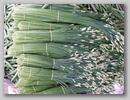 pict0072.jpg