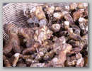 pict0076.jpg