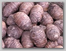 pict0082.jpg