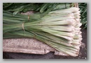 pict0083.jpg