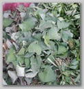 pict0084.jpg