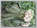 pict0086.jpg