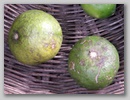 pict0094.jpg