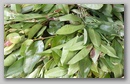 pict0098.jpg
