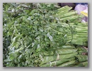 pict0103.jpg
