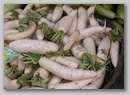 pict0108.jpg