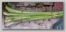 pict0116.jpg