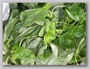 pict0132.jpg