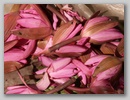 pict0142.jpg