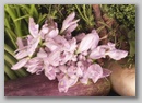 pict0151.jpg