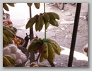 pict0179.jpg
