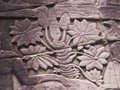 pict0010.jpg