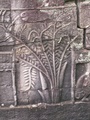 pict0035.jpg