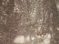 pict0060.jpg