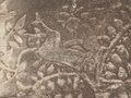 pict0065.jpg