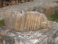 pc210029.jpg