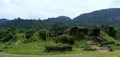 dscf1200.jpg
