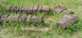 dscf1204.jpg