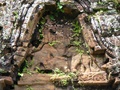 dscf1219.jpg