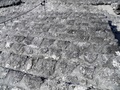 p3290024.jpg