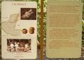 p3280003.jpg