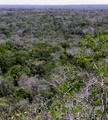 p3280044.jpg