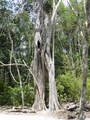 p3280050.jpg