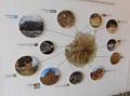 dscn9510.jpg