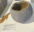 dscn9517.jpg